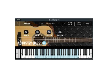 Autodafe Acoustic Bass