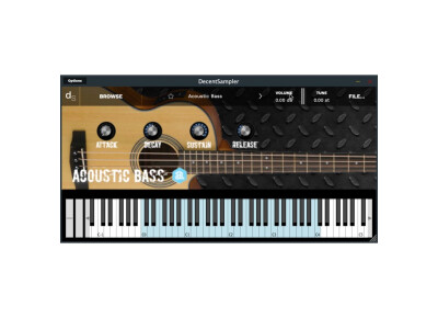 Autodafe Acoustic Bass