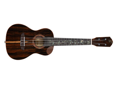 Ortega Elite RUET-ZC