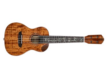 Ortega Elite RUET-ACA