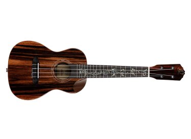 Ortega Elite RUET-EB