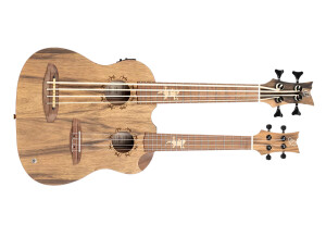 Ortega Custom Built Hydra-BSTE