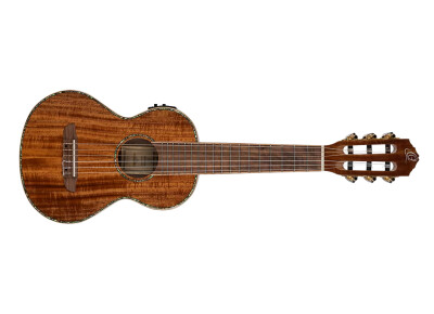 Ortega Mini / Travel RGLE18ACA