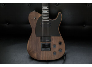 Jericho Guitars Fusion Walnut Evertune