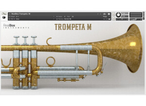 RealBox Instruments Trompeta M