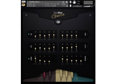 RealBox Instruments Guira