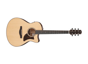 Ibanez AAM700CE