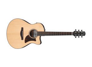Ibanez AAM380CE
