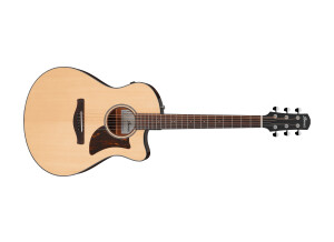 Ibanez AAM300CE