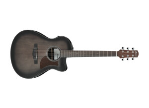 Ibanez AAM70CE