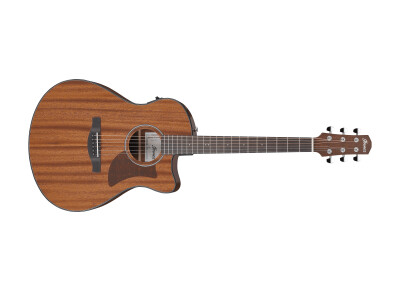 Ibanez AAM54CE