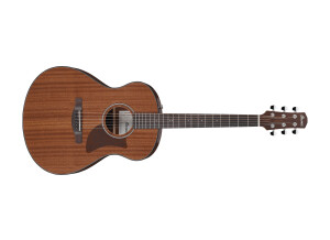 Ibanez AAM54
