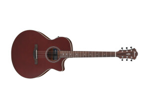 Ibanez AE100
