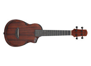 Ibanez AUC14