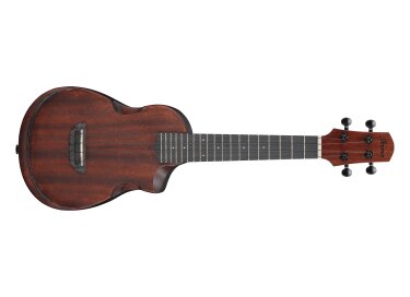 Ibanez AUC14