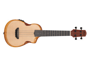 Ibanez AUC10E