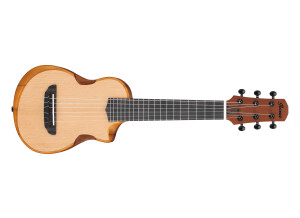 Ibanez AUP10N