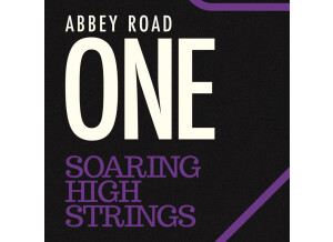 Spitfire Audio Abbey Road One: Soaring High Strings