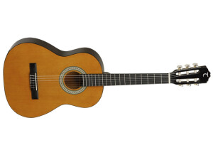 Tanglewood Discovery DBT 34
