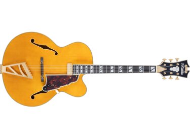 D'angelico Excel EXL-1