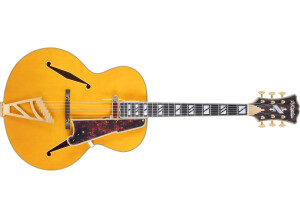 D'angelico Excel Style B