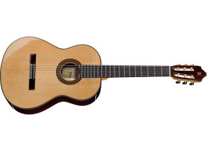 Alhambra Guitars 9 P A