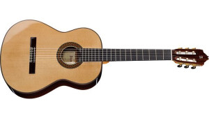 Alhambra Guitars 9 P A