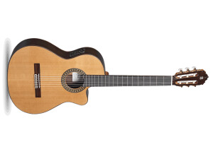 Alhambra Guitars 5 P CW E8