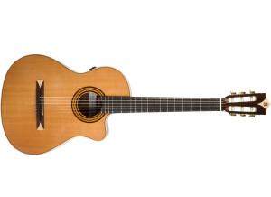 Alhambra Guitars CS-1 CW E8