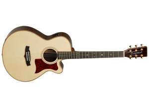 Tanglewood TW45 H SR E