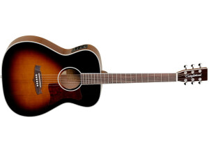 Tanglewood TW70 TE
