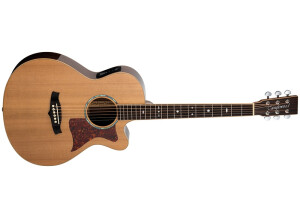 Tanglewood TW45 R E