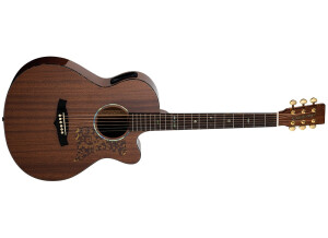 Tanglewood TW47 R E