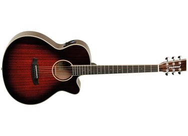 Tanglewood TW4 E