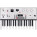 See the photo of the Korg KingKORG NEO Korg KingKORG NEO