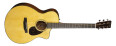 Trois nouvelles guitares enrichissent la série SC de Martin & Co