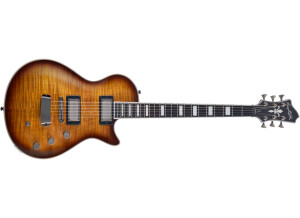 Hagstrom Ultra Max Special