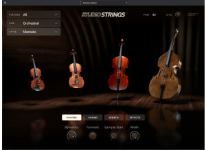 AIR Music Technology Studio Strings