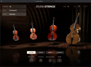 AIR Music Technology Studio Strings