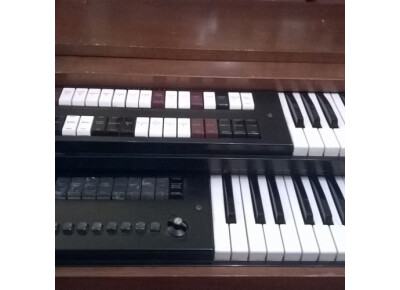 Lowrey TLO-R 1