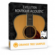 Orange Tree Samples Evolution Boutique Acoustic