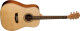 Washburn Harvest Series et WD10