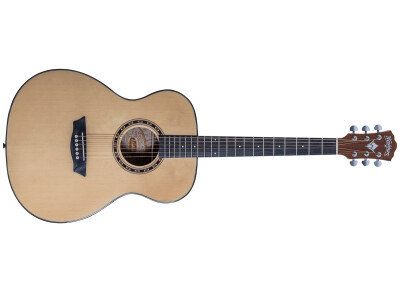 Washburn Apprentice F5