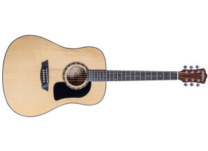 Washburn Apprentice D5