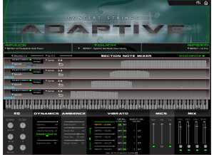 Kirk Hunter Studios Concert Strings Adaptive