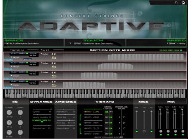 Kirk Hunter Studios Concert Strings Adaptive