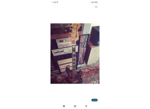 Maya (guitar) Jazz Bass