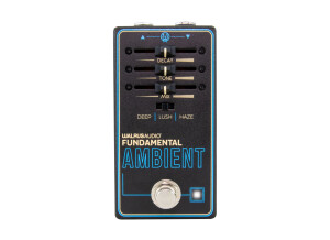 Walrus Audio Fundamental Ambient