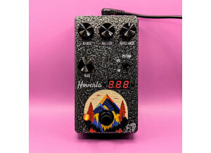 Drunk Beaver Hoverla