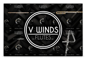 AcousticSamples VWinds Flutes